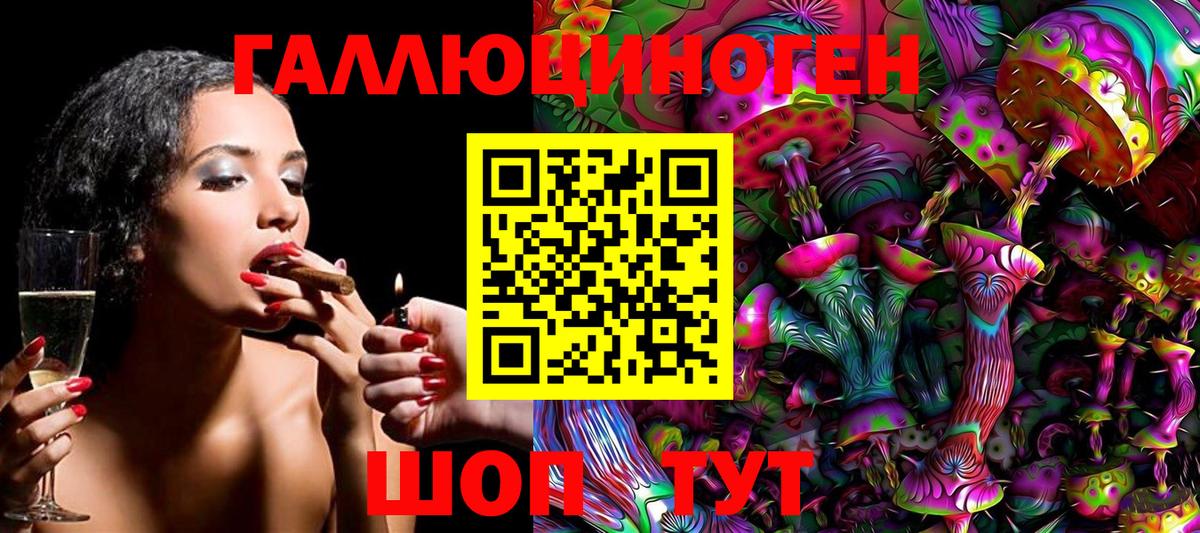 Галлюциногенные грибы Cubensis Строитель
