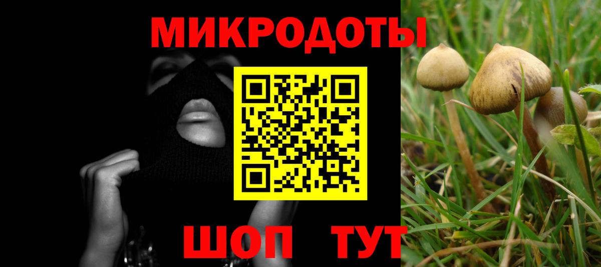 Строитель  Галлюциногенные грибы MAGIC MUSHROOMS  Вход с VPN 